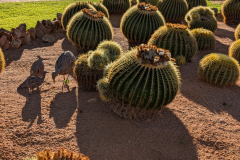 PXL_20251106_154854429