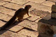 PXL_20251106_160454713