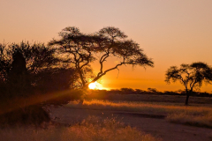 PXL_20251106_170436879