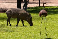 PXL_20251107_092035231