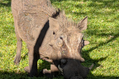 PXL_20251107_145221754