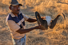 PXL_20251107_164258868.MP_