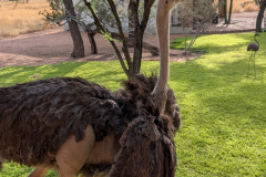 PXL_20251108_054431277