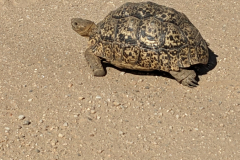 PXL_20240503_085907460