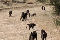 PXL_20240511_091006914