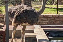 PXL_20240511_092248702