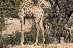 PXL_20240511_103557022