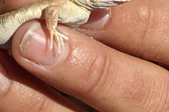 PXL_20230827_083343865