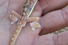 PXL_20230827_091248594