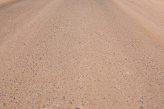 PXL_20260901_104151452