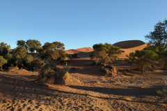 PXL_20230825_054154930