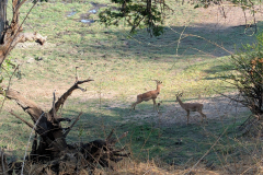 PXL_20251025_055023719