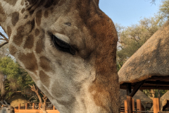 PXL_20230904_151700588.MP_