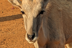 PXL_20230904_154124287