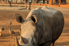 PXL_20230904_155328620