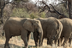 PXL_20230905_073902054