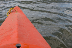 PXL_20241118_071002577