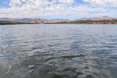 PXL_20241118_075247725