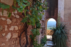 PXL_20220520_090417386