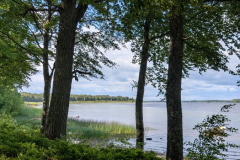 PXL_20250625_142943707