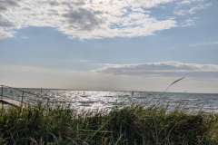 PXL_20250627_164601197