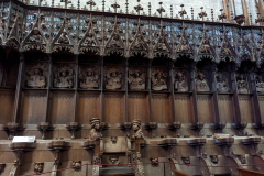 Im Ulmer Münster