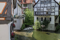 Ulm