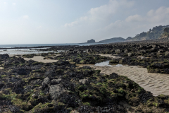 PXL_20240919_133136345