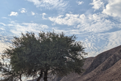 PXL_20211116_053712722