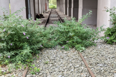 PXL_20240910_100836076